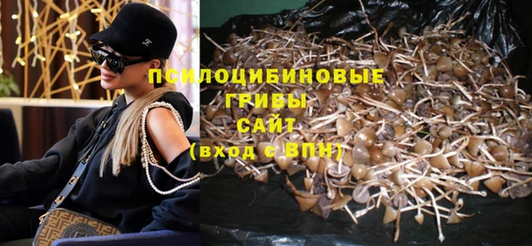 метадон Зеленодольск