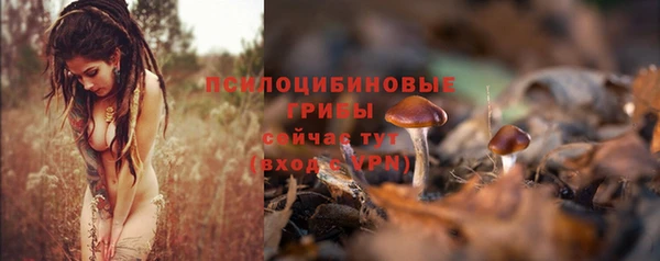 гидропоника Зерноград