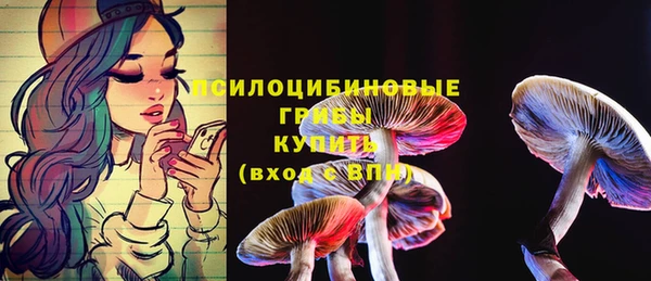 метадон Зеленодольск