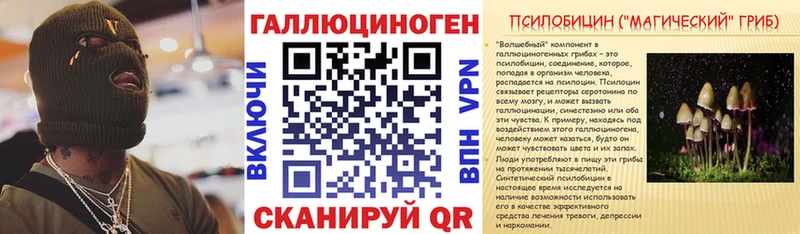 Купить закладки  Москва  Псилоцибиновые грибы Psilocybe 
